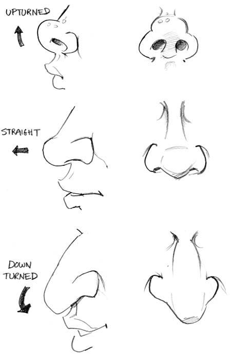 caricature male nose